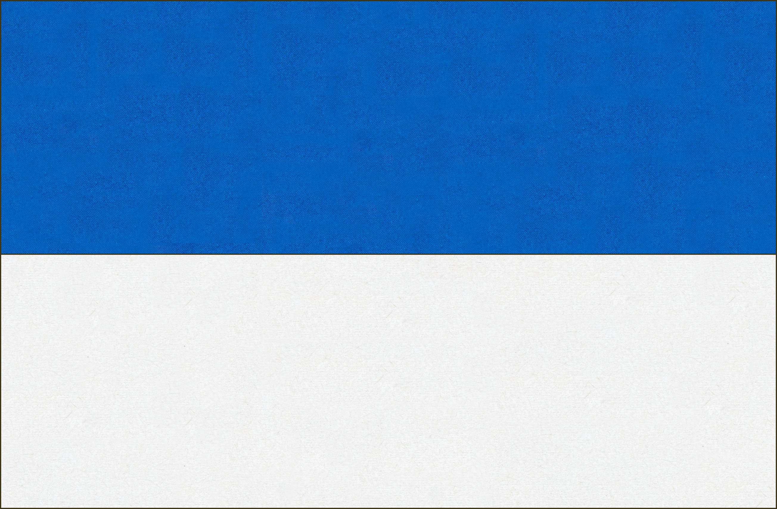 Valiokunnan väliaikainen lippu